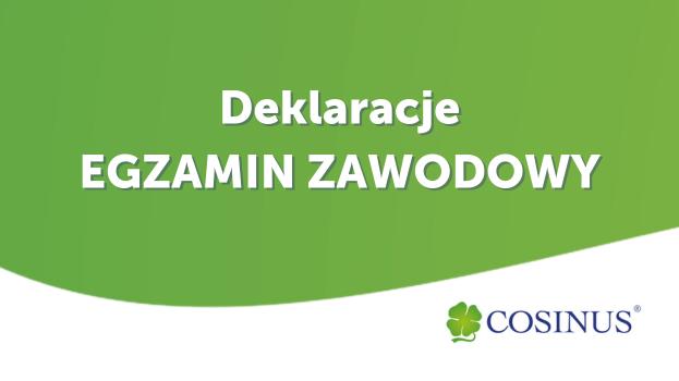 Deklaracje- egzamin zawodowy